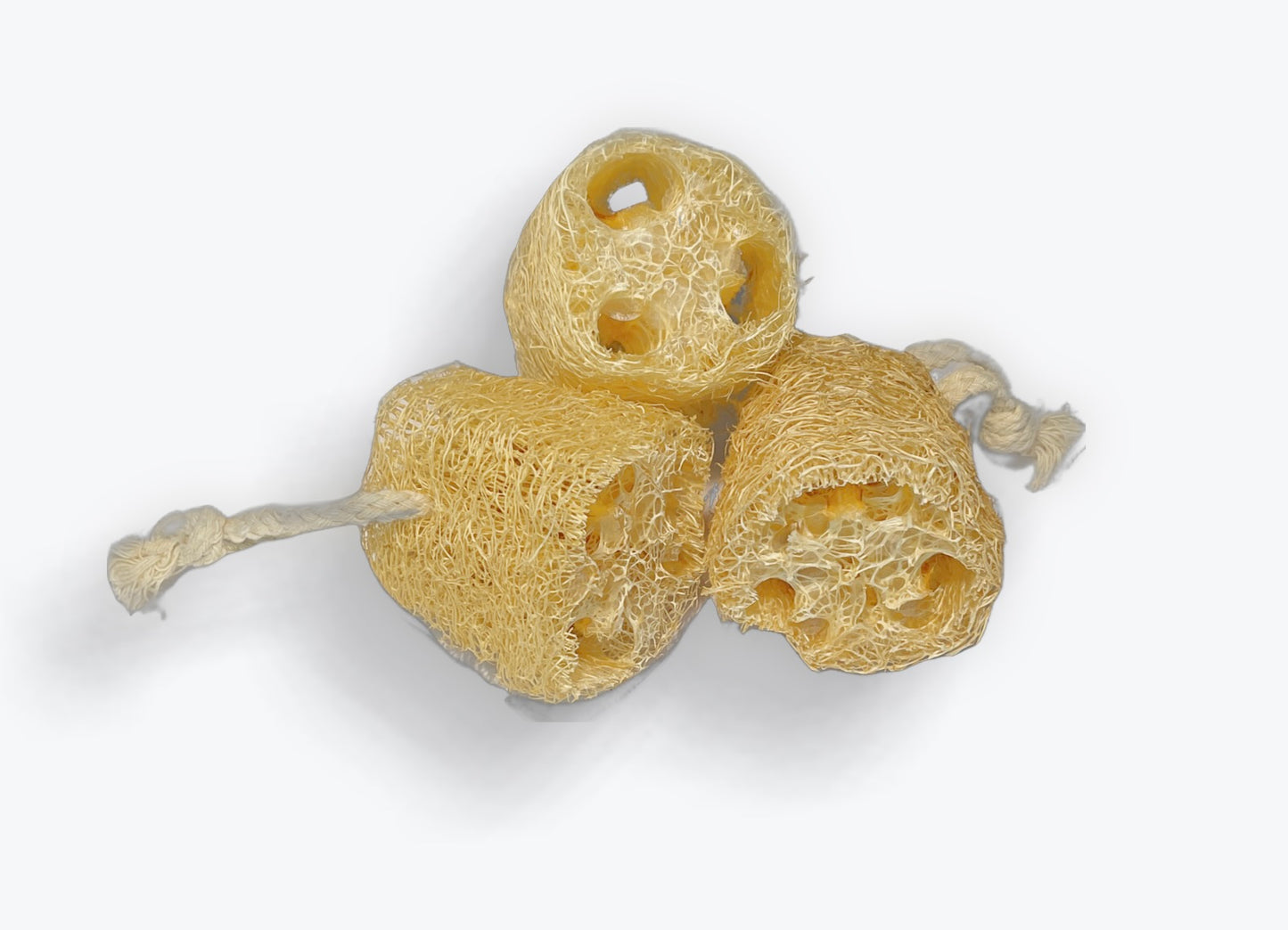 Natural Exfoliating Sponge